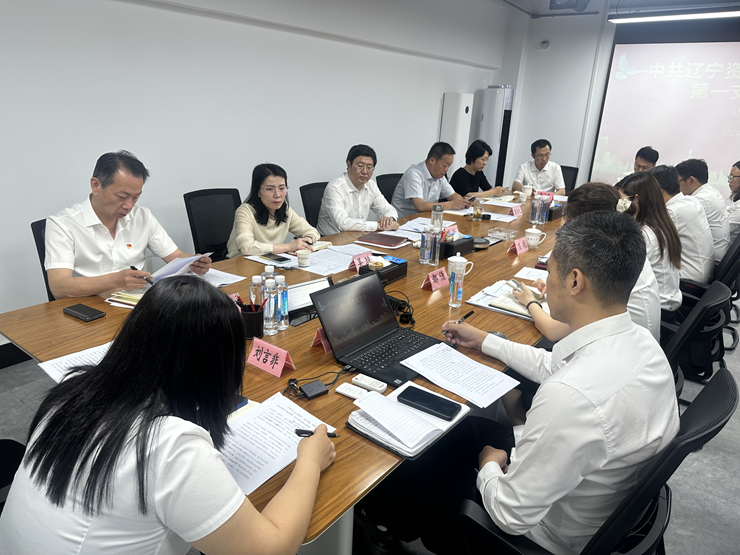鲁珏董事长参加资产公司主题党日活动并主持召开树立和践行正确政绩观学习教育调研座谈会
